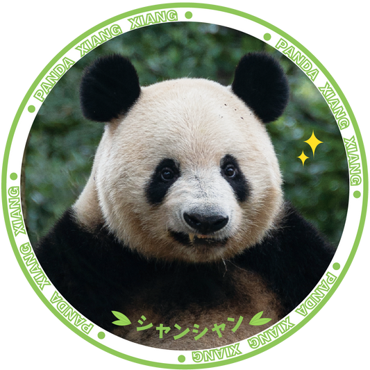 シャンシャン セラミックコースター