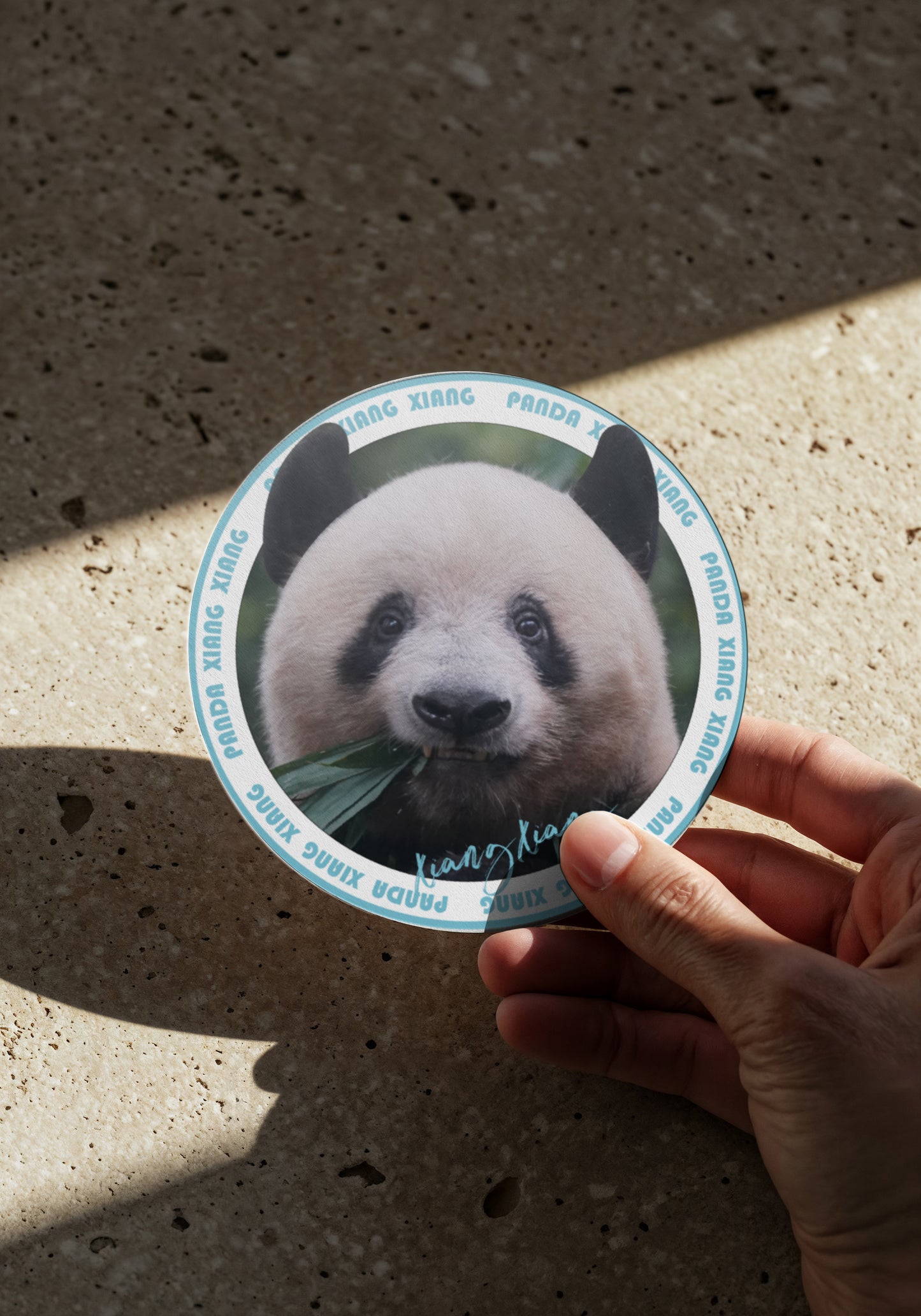 シャンシャン セラミックコースター