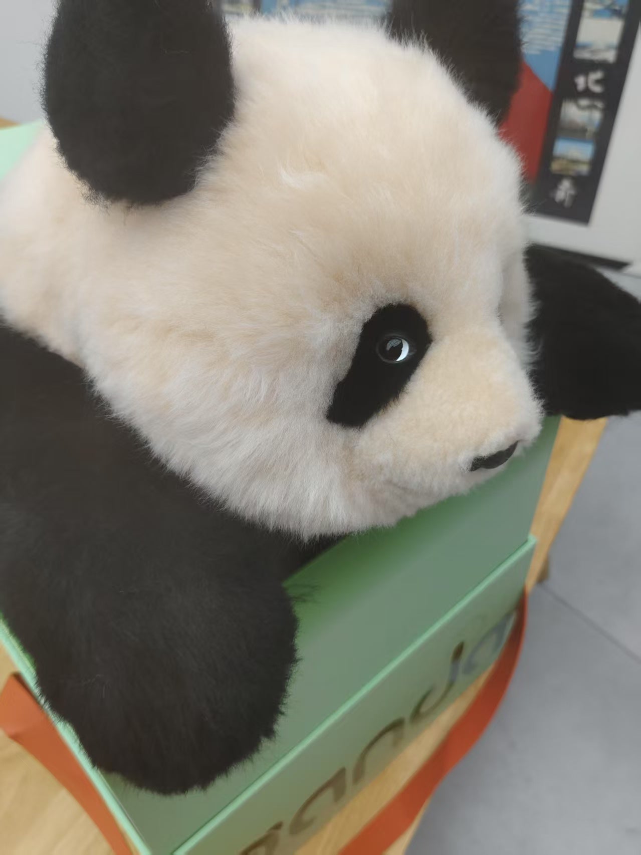 【新商品】シャンシャン(座り姿)リアルぬいぐるみ