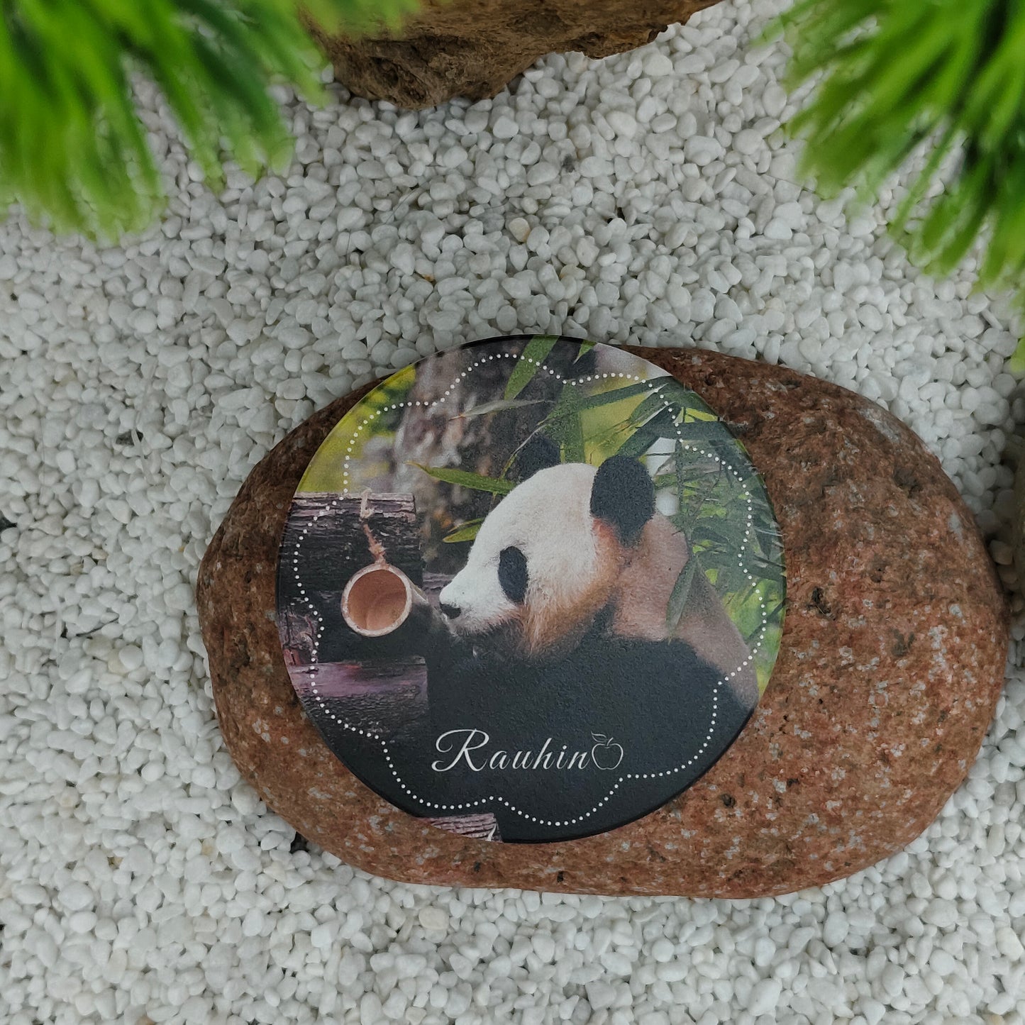 良浜コースター