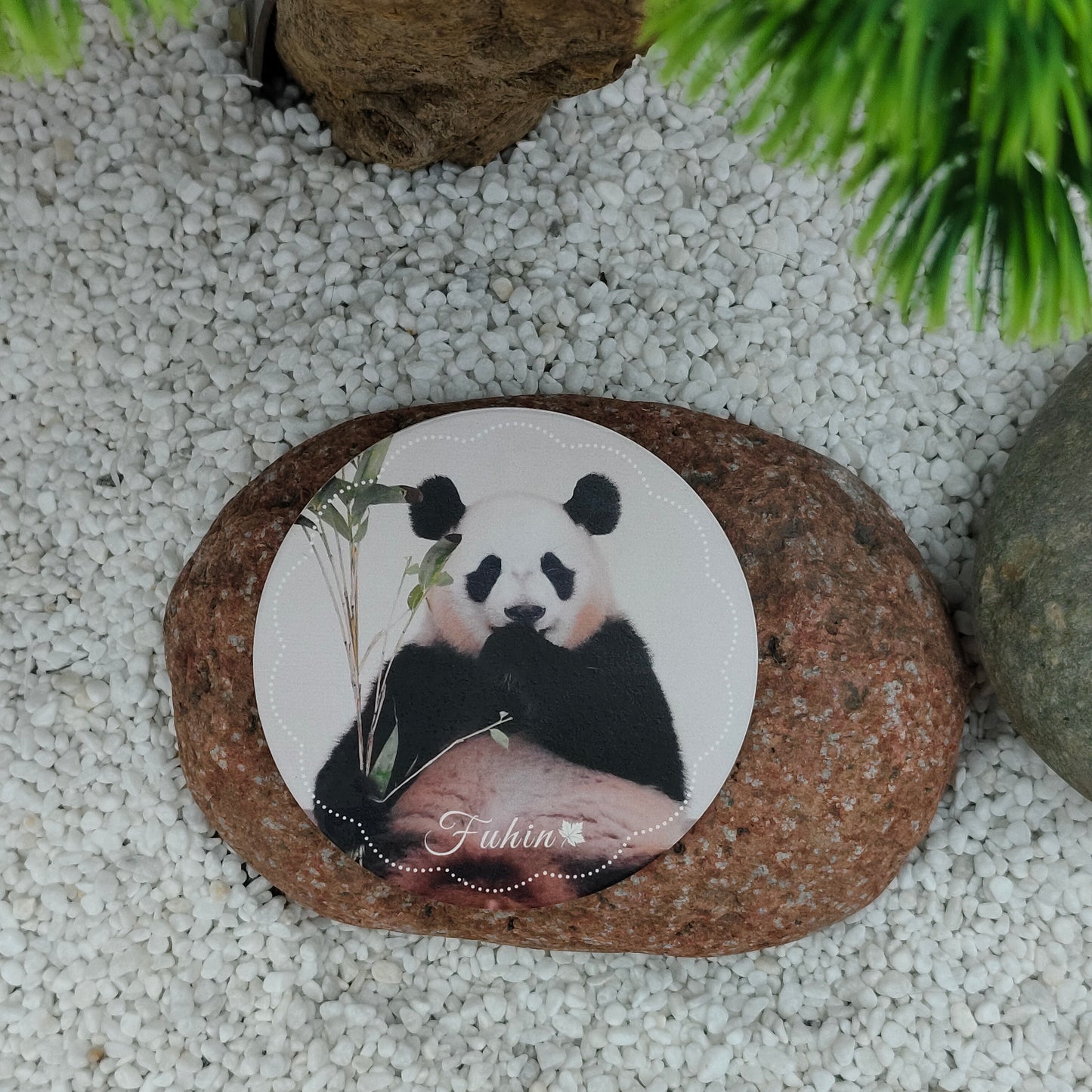 楓浜コースター