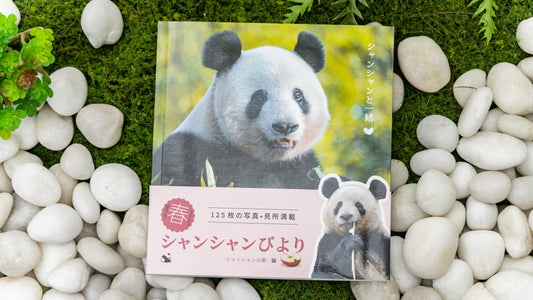 『シャンシャン日和』春号発刊!