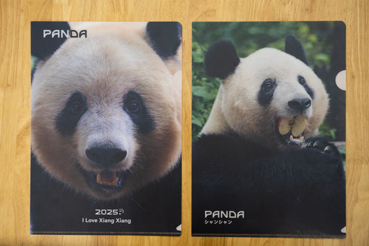 シャンシャン L型クリアファイル(A4対応)