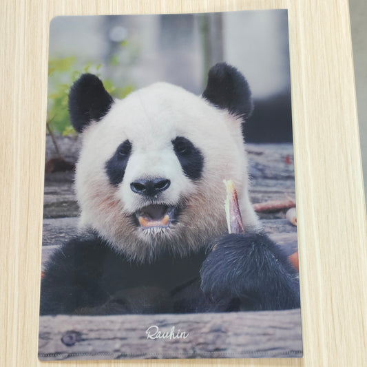 良浜L型クリアファイル(A4対応)