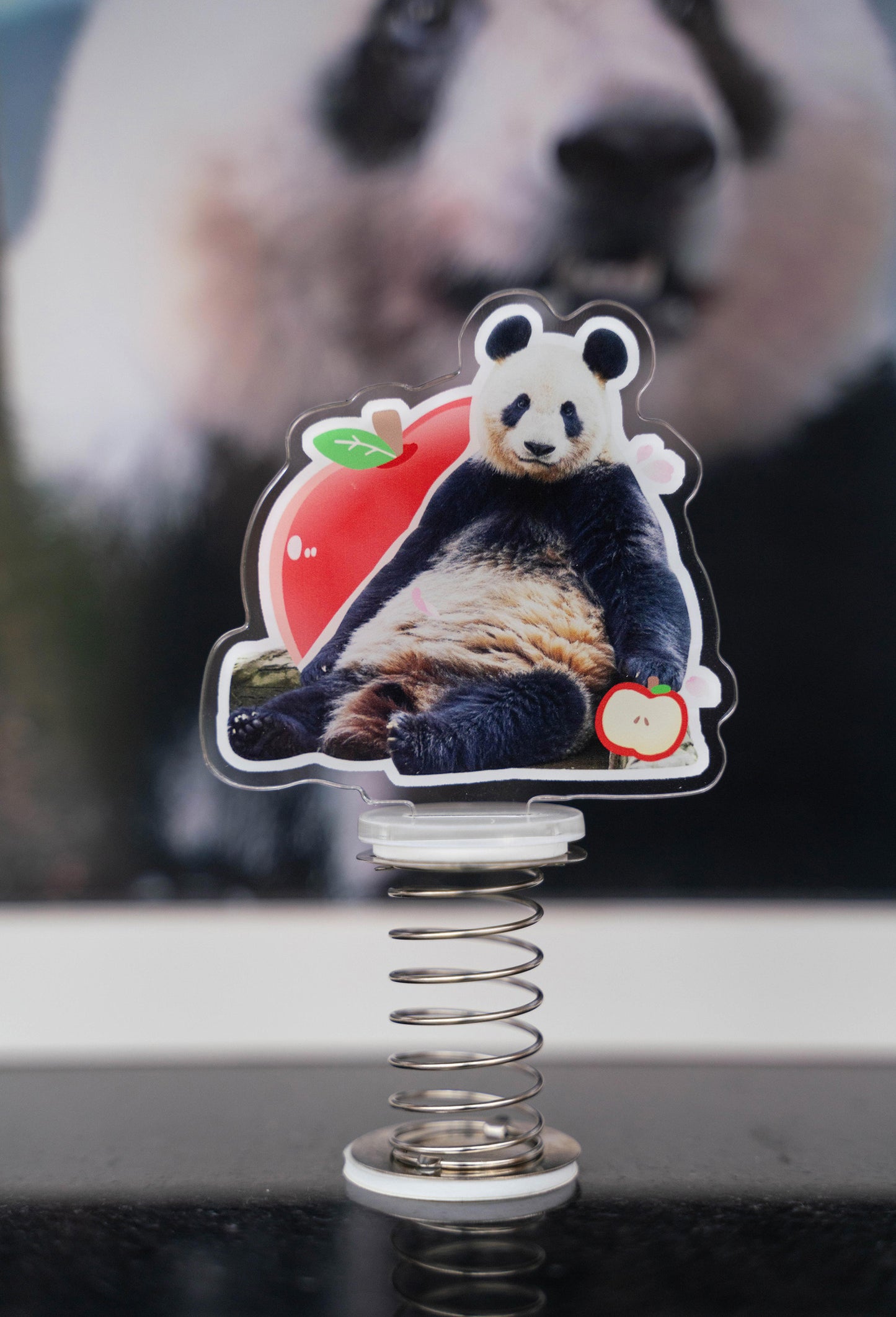 シャンシャンファミリー　スプリングフィギュア