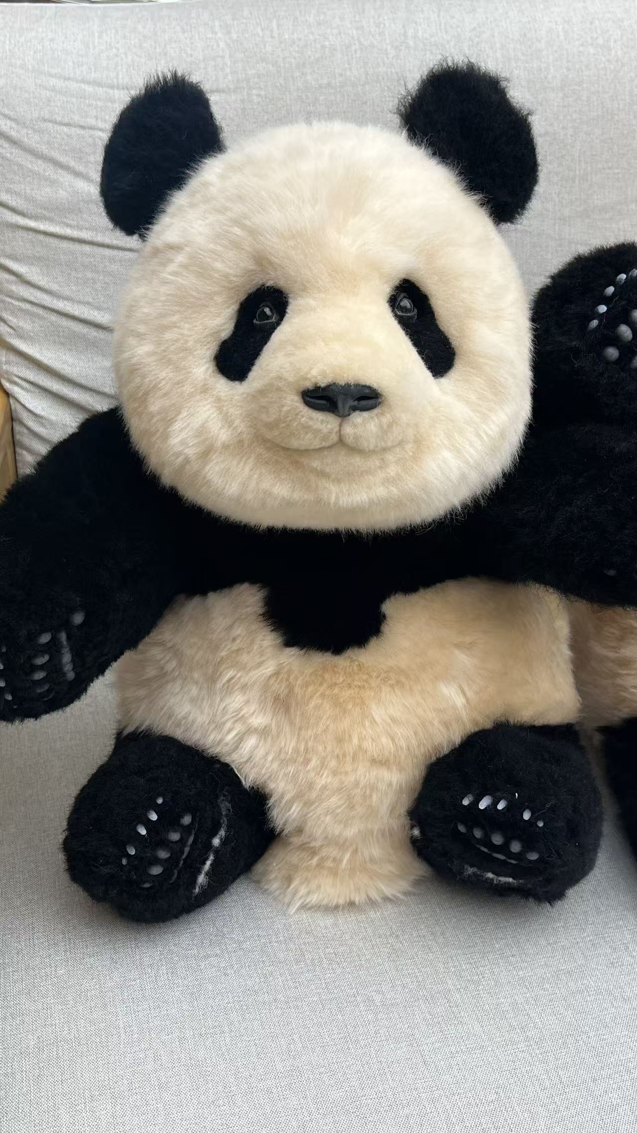 【新商品】シャンシャン（座り姿）リアルぬいぐるみ