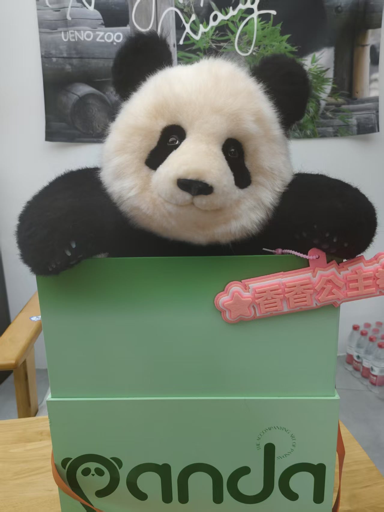 【新商品】シャンシャン（座り姿）リアルぬいぐるみ