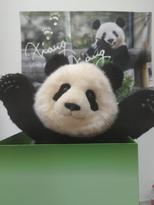 【新商品】シャンシャン（座り姿）リアルぬいぐるみ