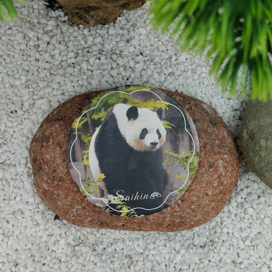 彩浜コースター