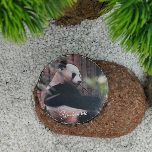 結浜コースター