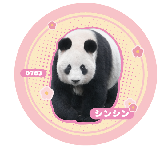 商品 – シャンシャンの家