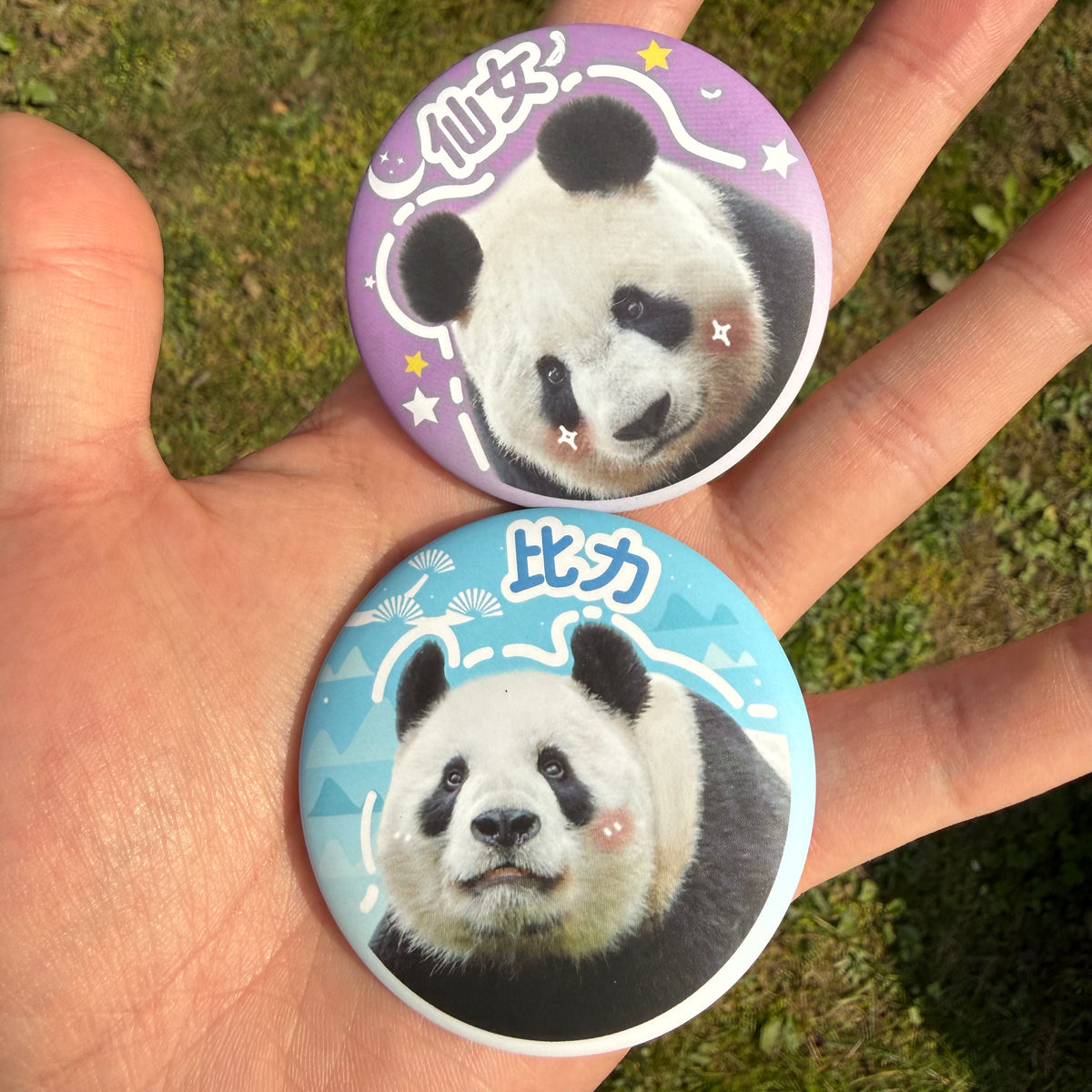 【シャンシャンの家・厳選】シャンシャン家族徽章（5枚セット）