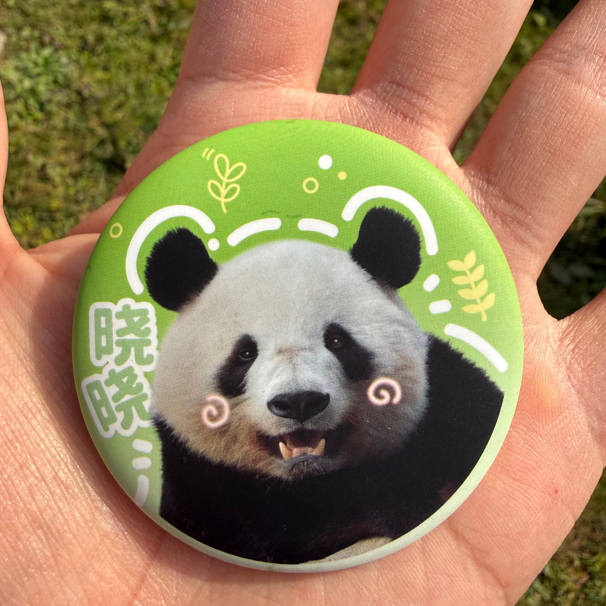 【シャンシャンの家・厳選】シャンシャン家族徽章（5枚セット）