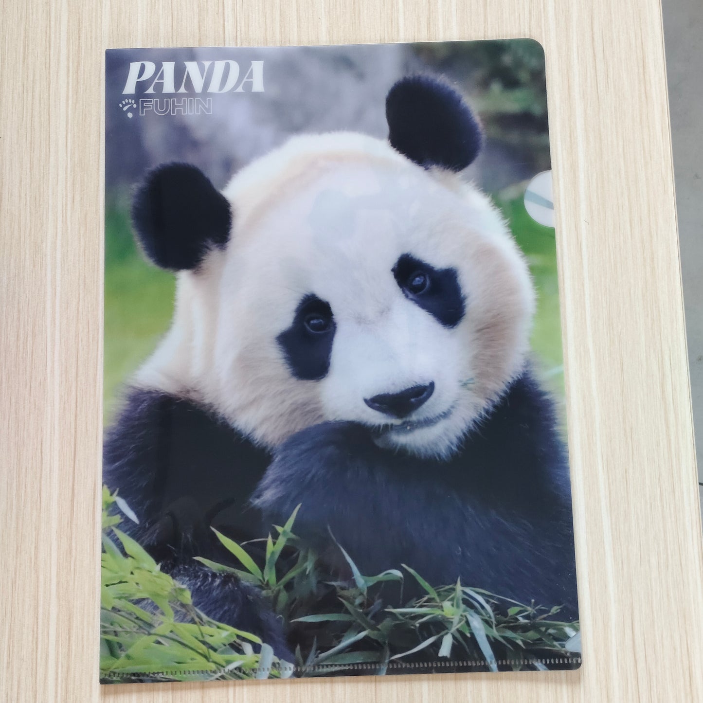 枫浜L型クリアファイル（A4対応）