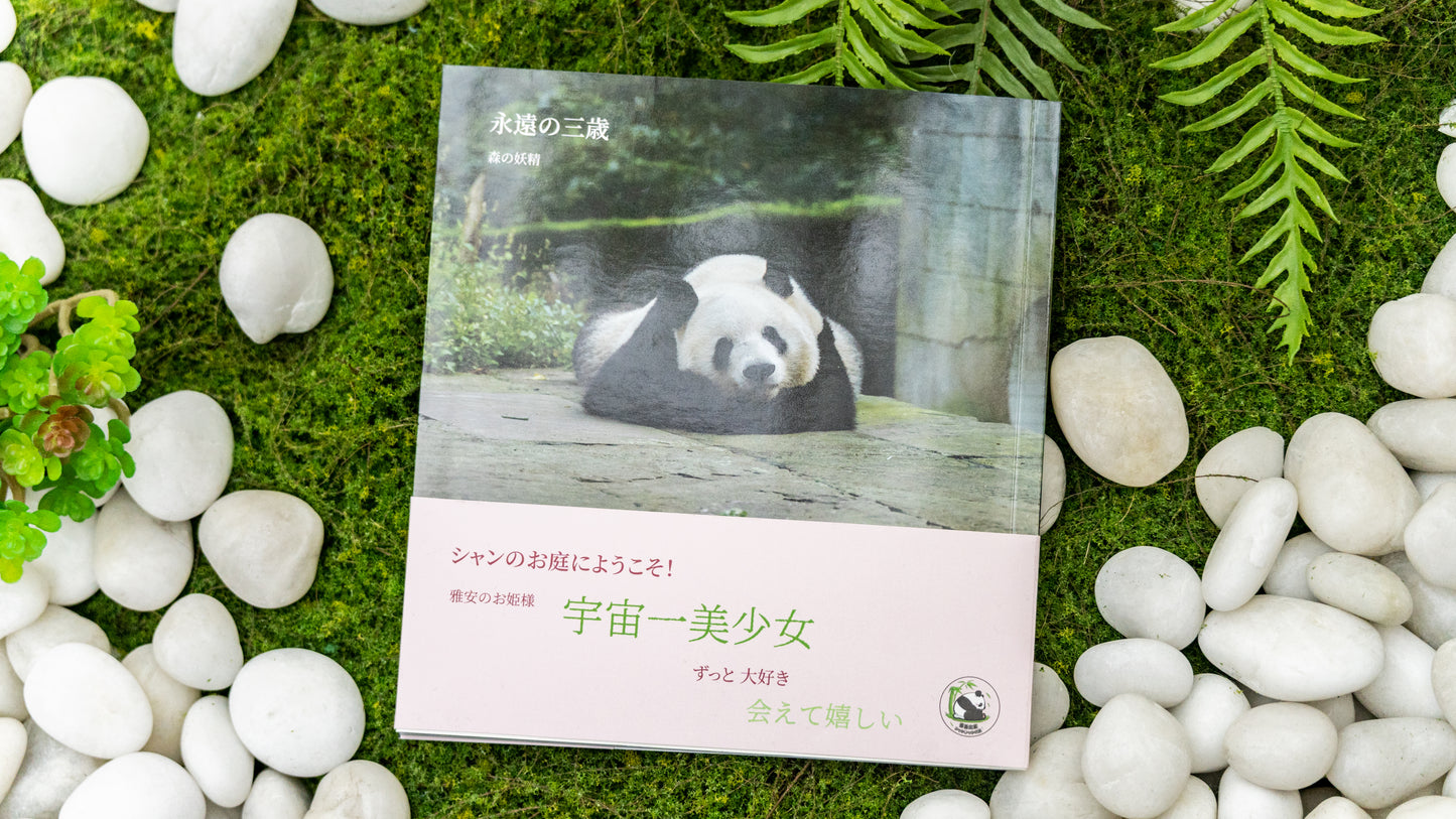 『シャンシャン日和』春号発刊！