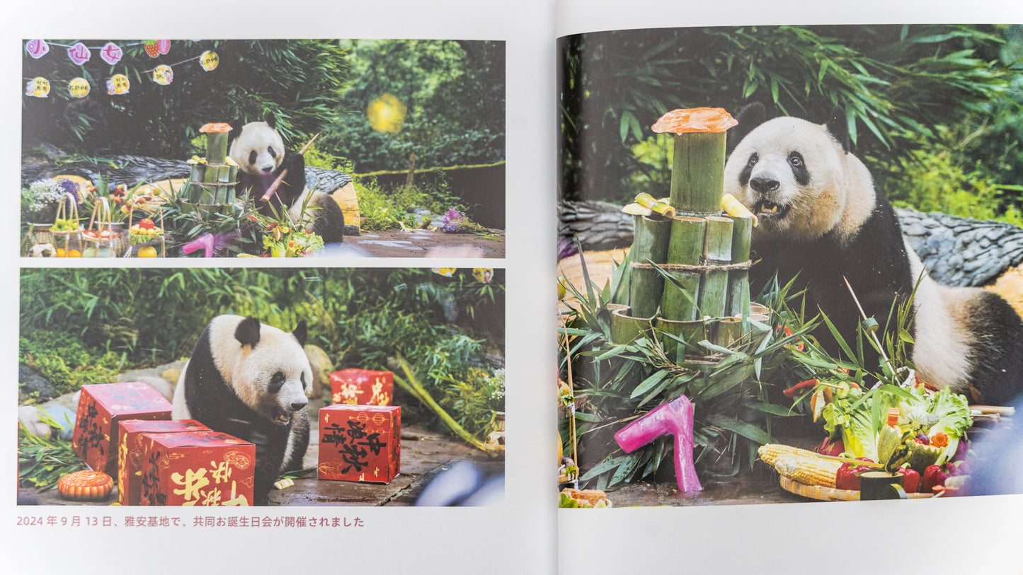 『シャンシャン日和』春号発刊！