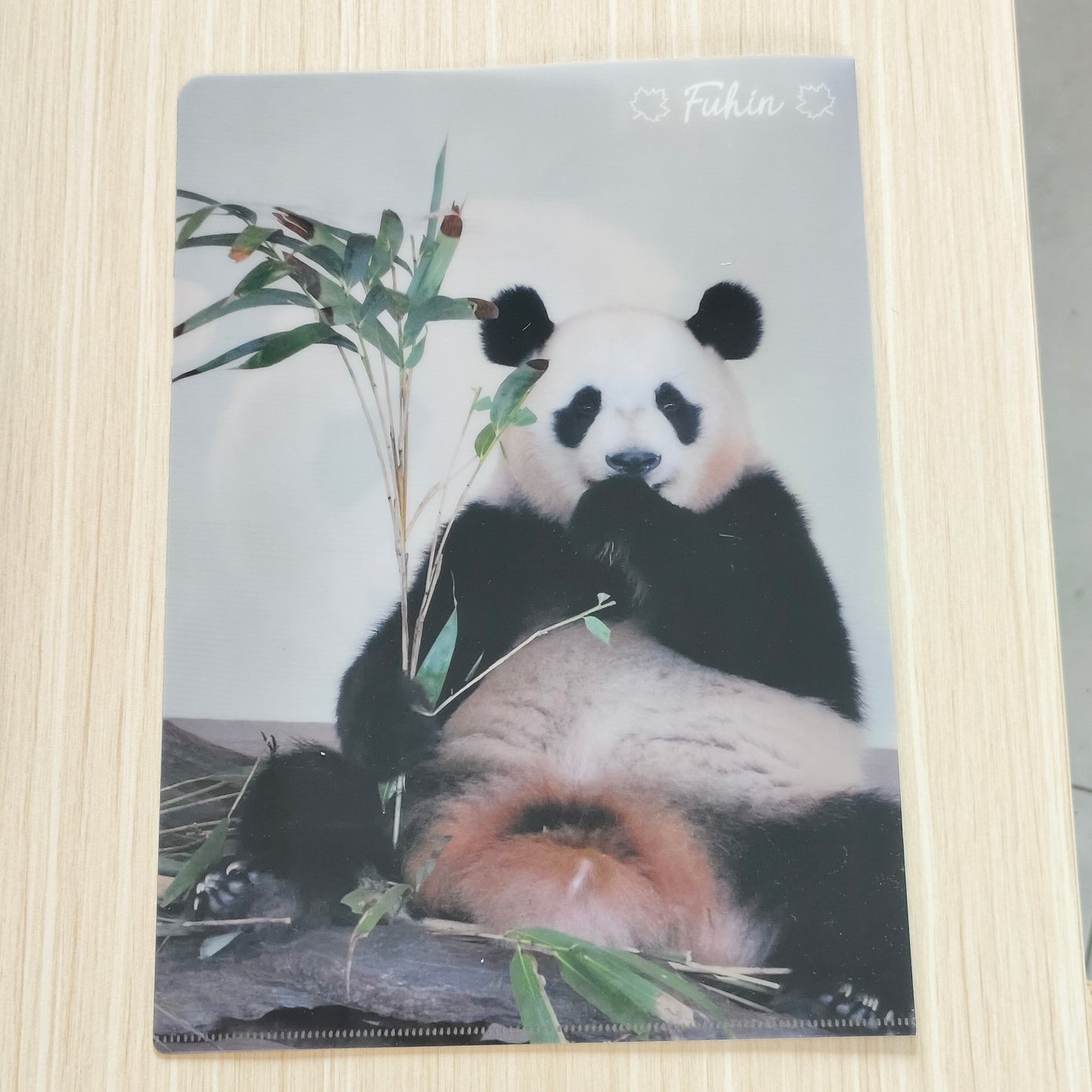 枫浜L型クリアファイル（A4対応）